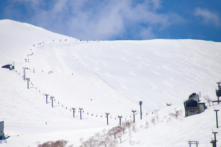 Spring Powder Day