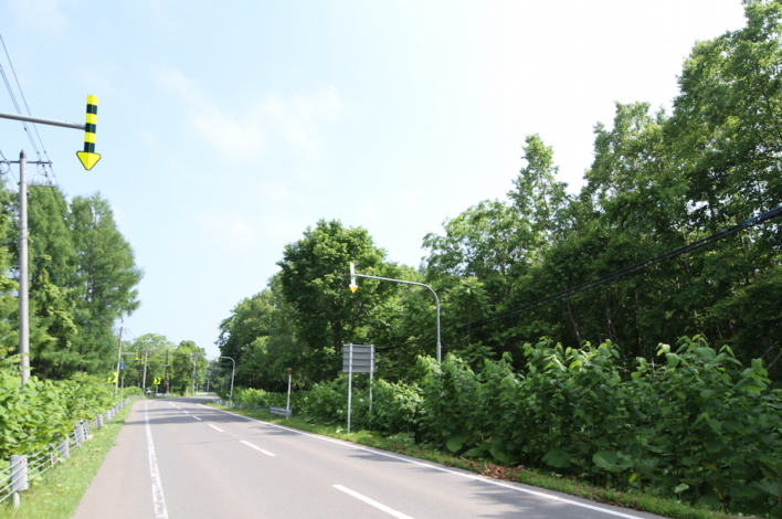 Yamada 37 331 North Hirafu1